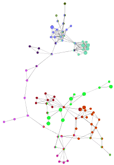 Network